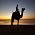 Camel ride at dahanu beach, Sea Crest Beach Resort,Dahanu Dahanu Beach Hotel,Dahanu Beach Resort
